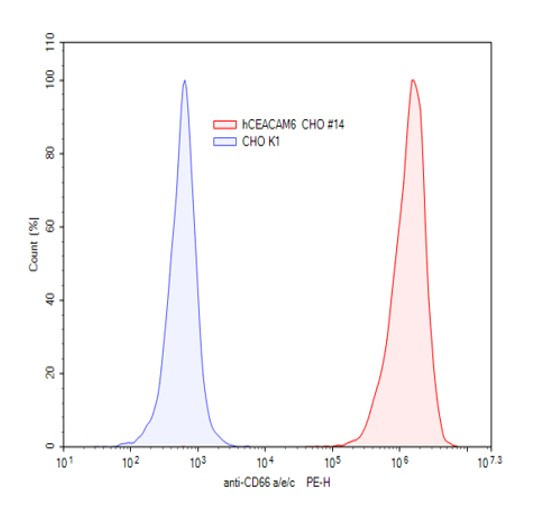 CEACAM6 CHO Cell Line