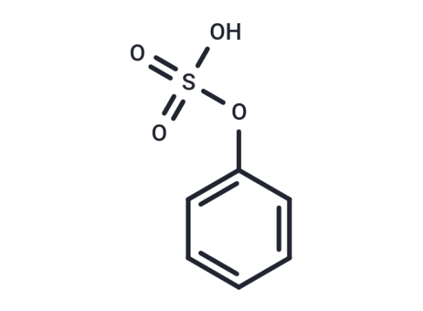 Phenyl sulfate