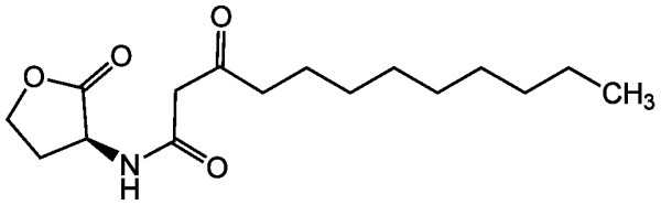 N-(3-Oxododecanoyl)-L-homoserine lactone