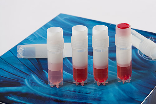Sampling tubes with BHT and Indomethacin
