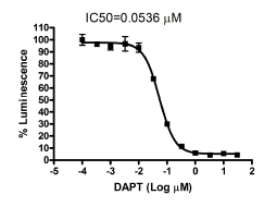 Notch reporter cell line, 1.5x10(6) cells