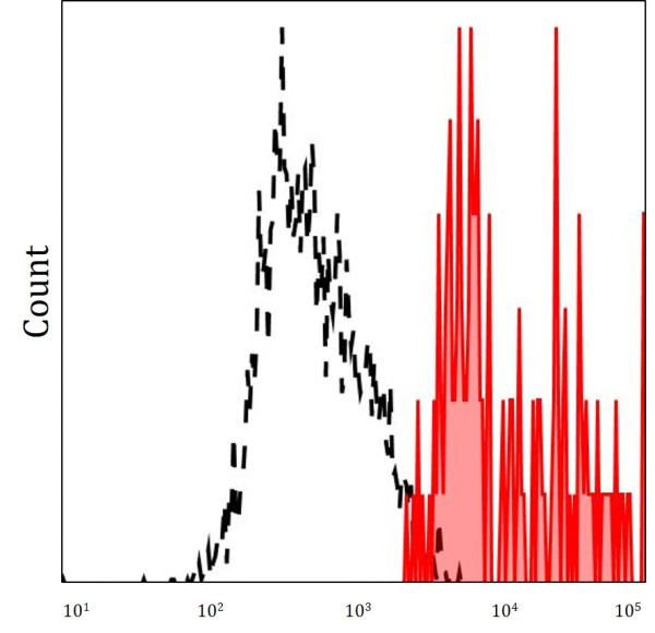 Anti-KIR3DL3 / CD158z (PE), clone CH21