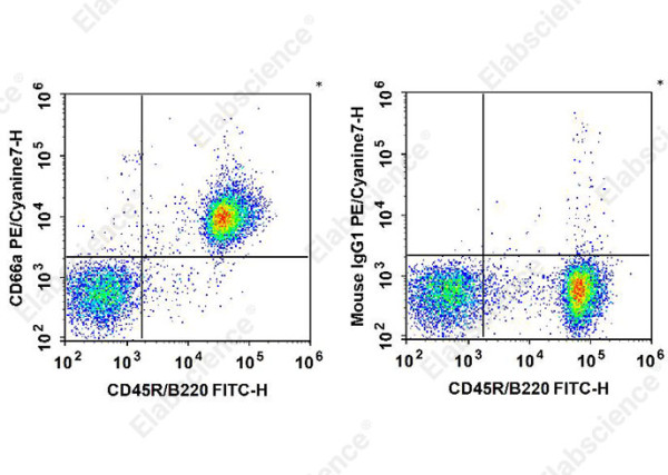 PE/Cyanine7 Anti-Mouse CD66A Antibody[Mab-CC1]