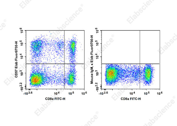 Elab Fluor(R)700 Anti-Human CD57 Antibody[HI57a]