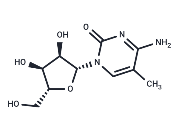 5-Methylcytidine