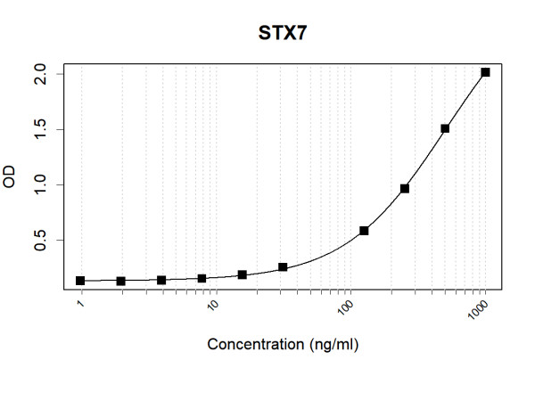 Anti-Human STX7 Antibody Pair