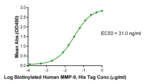 MMP-9[Biotin], His &amp; Avi, Human