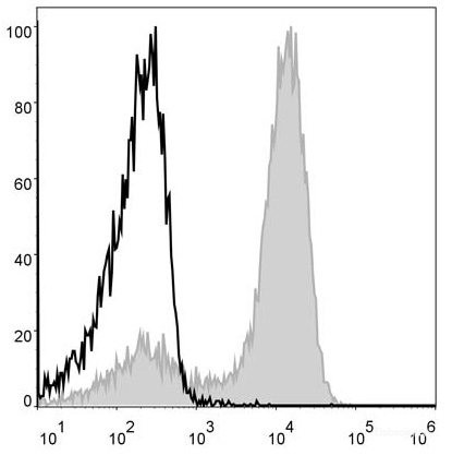 Anti-Mouse/Human CD11b (APC Conjugated)[M1/70], clone M1/70