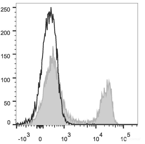 Anti-Rat CD4(domain 1) (FITC Conjugated)[OX-38], clone OX-38
