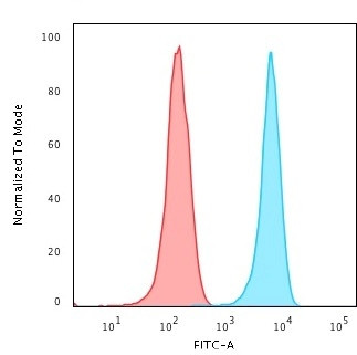 Anti-CD3e (T-Cell Marker), clone RIV9
