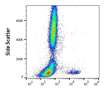 Anti-CD22, clone IS7 (PE)