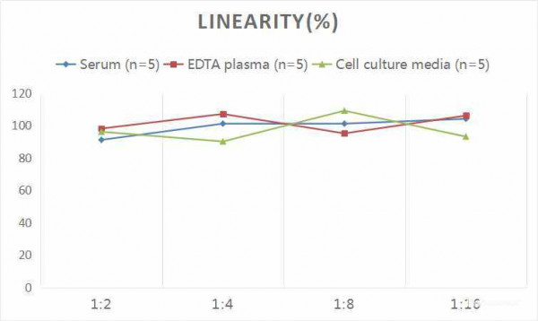 Rat MIP-1alpha (Macrophage Inflammatory Protein 1 Alpha) CLIA Kit