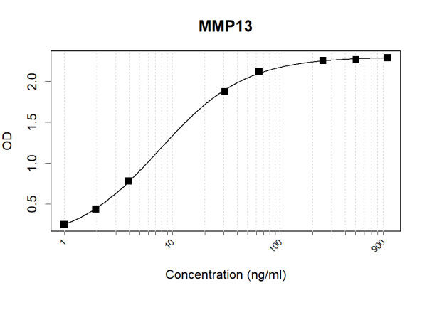 Anti-Human MMP13 Antibody Pair