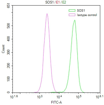 Anti-SOS1 Recombinant Monoclonal, clone 2B2