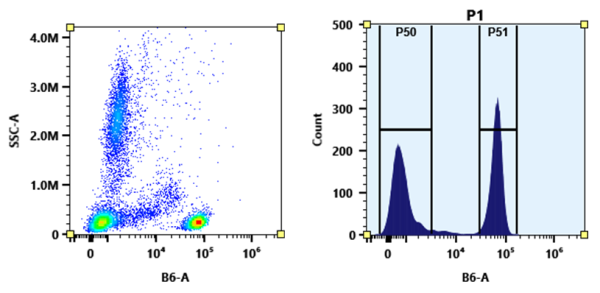 Buccutite(TM) Rapid PE-Texas Red Tandem Antibody Labeling Kit *Production Scale Optimized for Labeli
