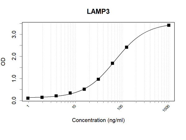 Anti-Human LAMP3 Antibody Pair