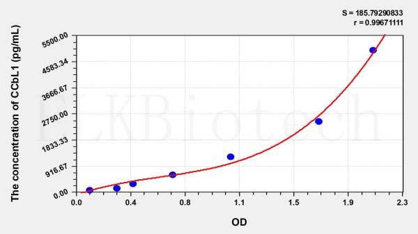 Human CCbL1 (Cysteine Conjugate Beta Lyase, Cytoplasmic) ELISA Kit