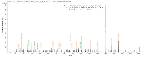 Gamma-hemolysin component A (hlgA), Staphylococcus aureus, recombinant