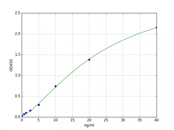 Rabbit Apolipoprotein E / Apo-E ELISA Kit