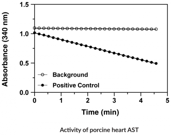 Aspartate Aminotransferase Colorimetric Activity Assay Kit