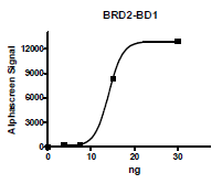 BRD2 (65-187), His-tag, human recombinant protein