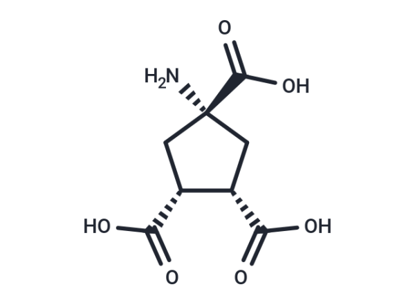 ACPT-II
