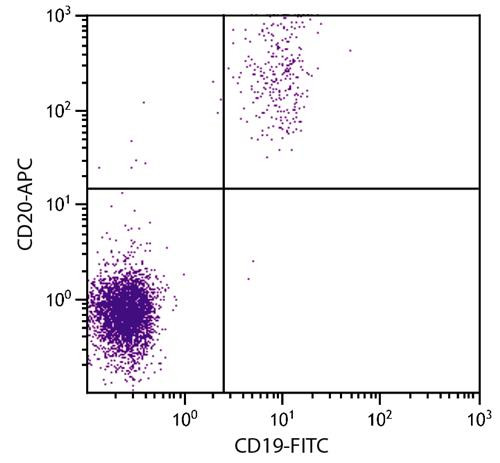 Anti-CD20 (APC), clone B-Ly1