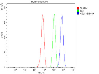 Anti-NSL1 / Kinetochore-associated protein NSL1