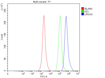 Anti-LRGUK / Leucine-rich repeat and guanylate kinase domain-containing protein