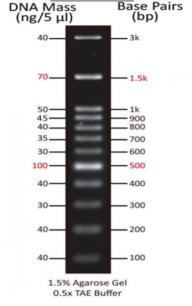 ReadiUse(TM) 100 bp DNA Ladder