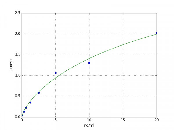 Human PGK1 / Phosphoglycerate kinase 1 ELISA Kit