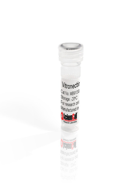 Vitronectin SC