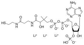 Coenzyme A, Lithium Salt