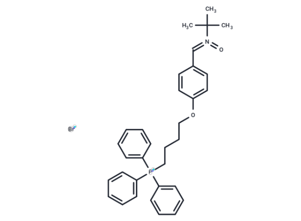 MitoPBN