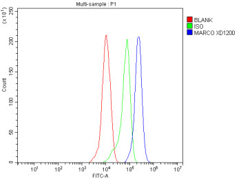 Anti-MARCO / Macrophage receptor with collagenous structure