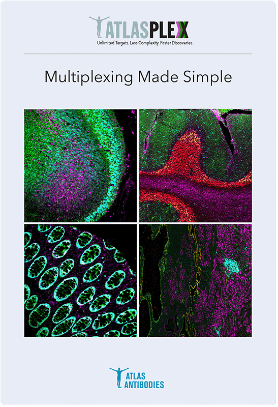 AtlasPlex – Advanced Solution for Multiplexed IHC-IF