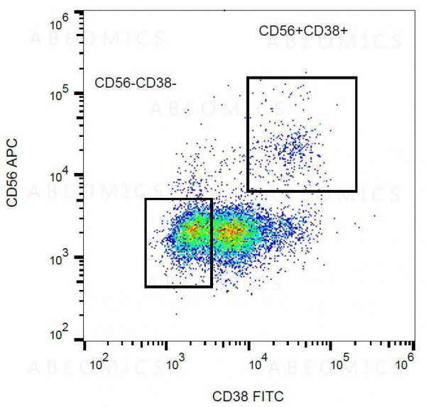 Anti-CD38 Monoclonal Antibody (Clone:HIT2)-FITC Conjugated