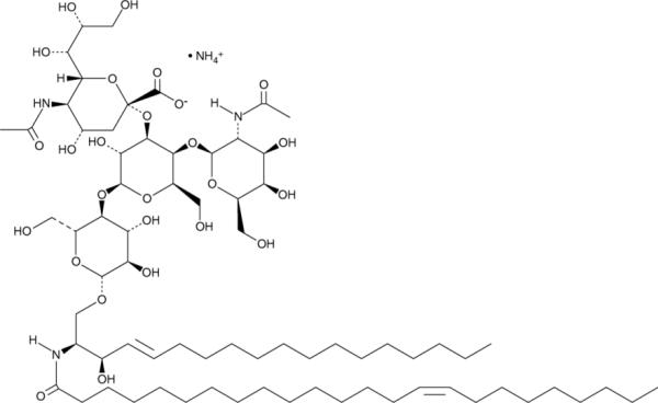 C24:1 Ganglioside GM2 (d18:1/24:1) (ammonium salt)