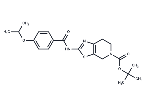 Autogramin-2