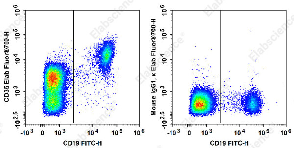 Elab Fluor(R) 700 Anti-Human CD35 Antibody[E11]