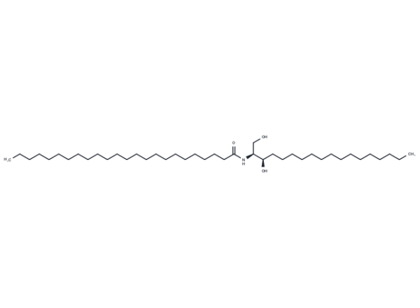 C24 dihydro Ceramide (d18:0/24:0)