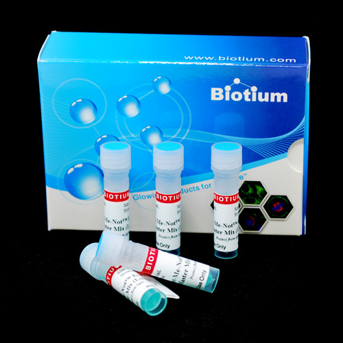 Forget-Me-Not(TM) EvaGreen(R) qPCR Master Mix (No ROX, No Template Buffer)