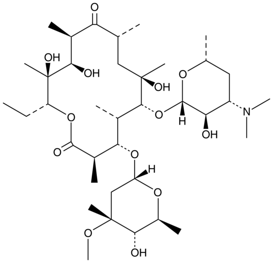 Erythromycin