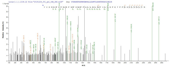 Alpha-ketoglutarate-dependent dioxygenase AlkB homolog (alkB), Caulobacter vibrioides, recombinant