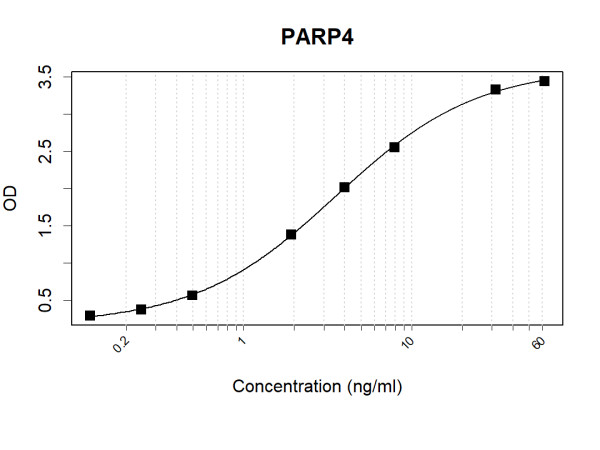 Anti-Human PARP4 Antibody Pair