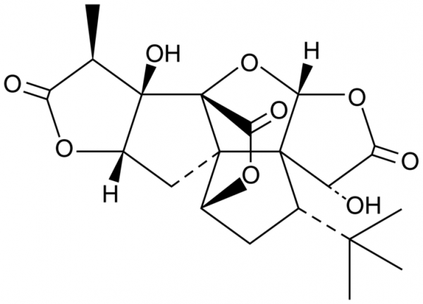Ginkgolide A