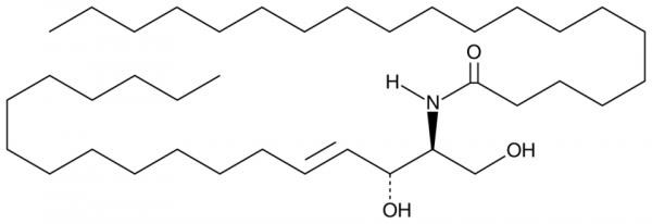 C20 Ceramide (d18:1/20:0)