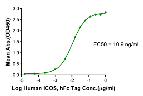 ICOS/CD278 hFc Chimera, Human