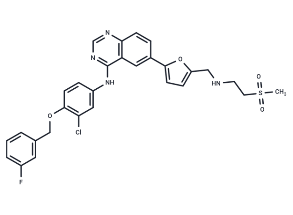 Lapatinib