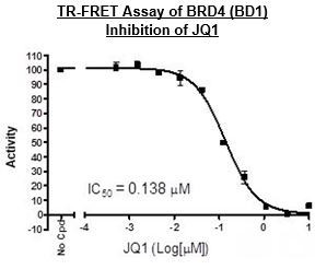 BRD4 (BD1) TR-FRET Assay Kit